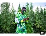 Green Farmer - Slika 26