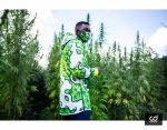 Green Farmer - Slika 22