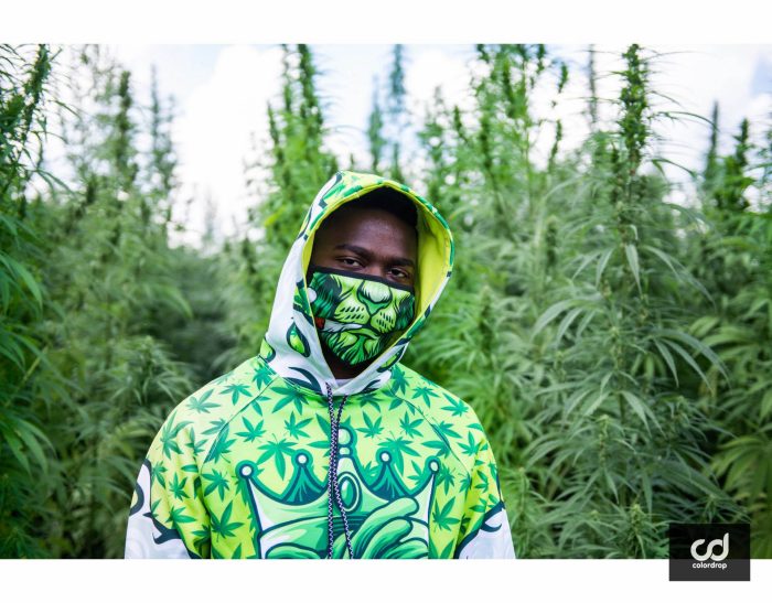 Green Farmer - Slika 11