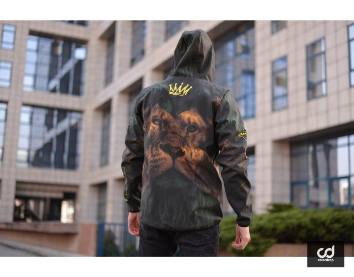 Lion - Image 1