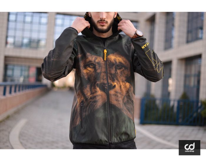 Lion - Image 5