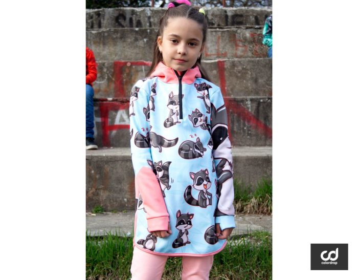 Racoon Junior - Image 1