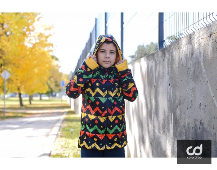 Reggae Lion Junior - Image 1